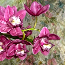 Flowers, graphics, Colorful Background, orchids
