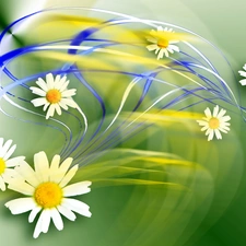 daisy, streaks, graphics, color