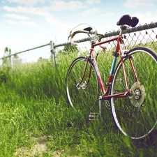 Bike, tall, grass, Cycle