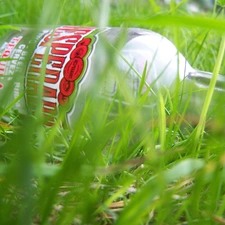 Bottle, grass