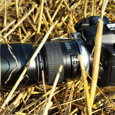 Camera, Eos 40D, grass, Canon