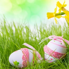 Easter, Daffodils, grass, eggs