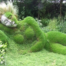 grass, Women, flowerbed