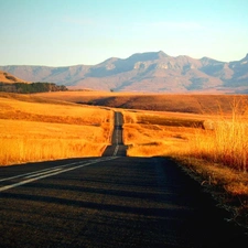 grass, Way, Mountains