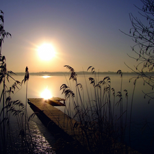 grass, Platform, west, sun, lake