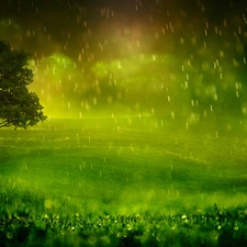 grass, trees, Rain