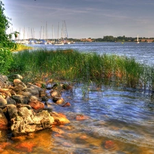 grass, River, Stones