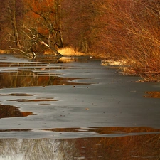 grass, lake, viewes, early spring, trees, melting