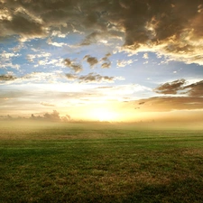 west, Meadow, grass, sun