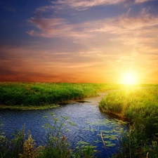 west, River, grass, sun