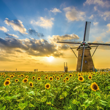 Field, Windmill, Great Sunsets, Nice sunflowers