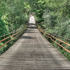 green, wooden, bridge
