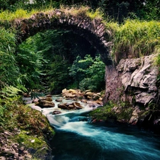 brook, bridge, green, stone