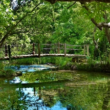 Park, bridges, green, Pond - car