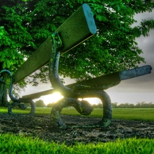 green ones, trees, sunny, Bench, rays