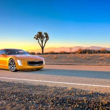 Yellow, Kia, GT4 Stinger