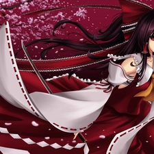 Hakurei Reimu, flakes