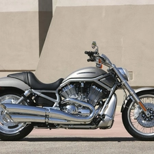 Cruiser, Harley Davidson V-Rod