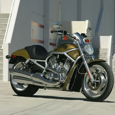 olive, Harley Davidson V-Rod