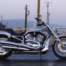 silver, Harley Davidson V-Rod