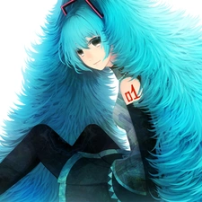 Hatsune Miku, Fur