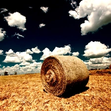 hay, Field, bunch