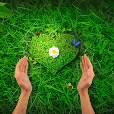 Heart, grass, hands