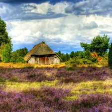 heath, house, Lüneburg Heath, Lüneburg Heath, Germany