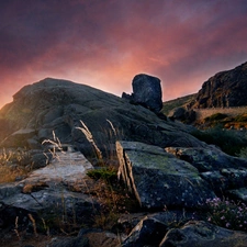 Rocky, The Hills