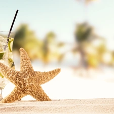 starfish, Drink, Sand, holiday, Shells, Mojito