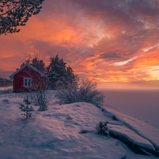 trees, Red, Ringerike, Home, winter, viewes, Norway