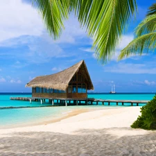 sea, pier, Home, Beaches