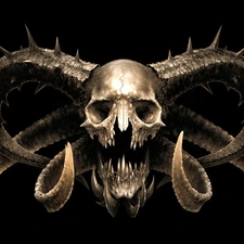 Skull, horns