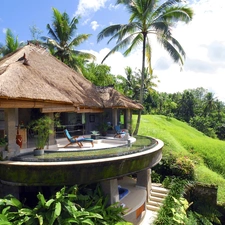 Hotel hall, Palms, Island, Bali, indonesia