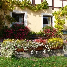 Garden, green, house, Flowers