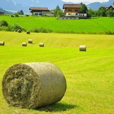 Houses, Field, Hay