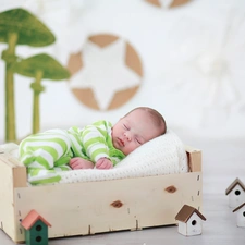 Sleeping, box, Houses, Baby