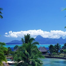 tropics, Palms, Houses, Islands