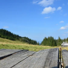 Zakopane, bridges, Houses, Meadow