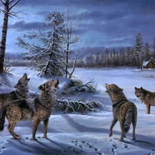 howl, Mary Pettis, wolves, winter, Wataha