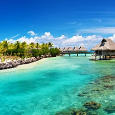 Palms, water, hut, blue