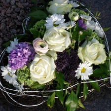 Heart, hyacinth, Margaret, Flowers, Valentine