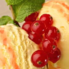 currant, Delicious, ice cream