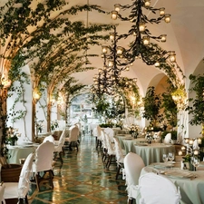 ivy, Restaurant, bows