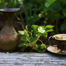 jug, cup, Strawberries, Stannic, Flowers