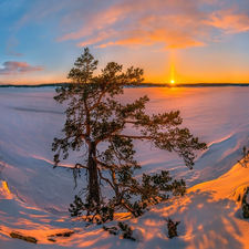 Lake Ladoga, frozen, Great Sunsets, trees, Karelia, Russia, winter, drifts, viewes