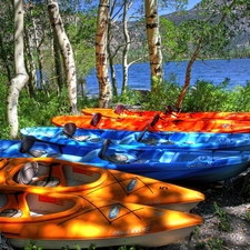 Kayaks, birch, River