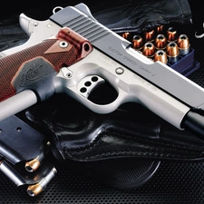 Gun, Kimber