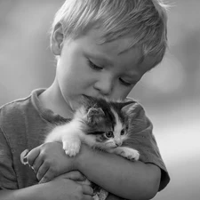 Black and white, boy, kitten