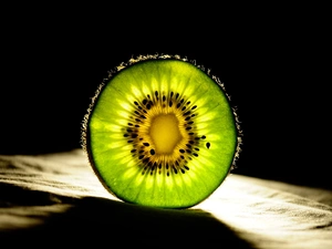 kiwi